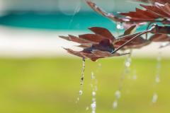 1_Longbrook-SL4-4SE-JPEG-40