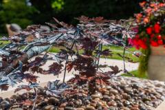 Longbrook-SL4-4SE-JPEG-38