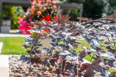 Longbrook-SL4-4SE-JPEG-42